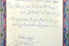 pic6 (2)